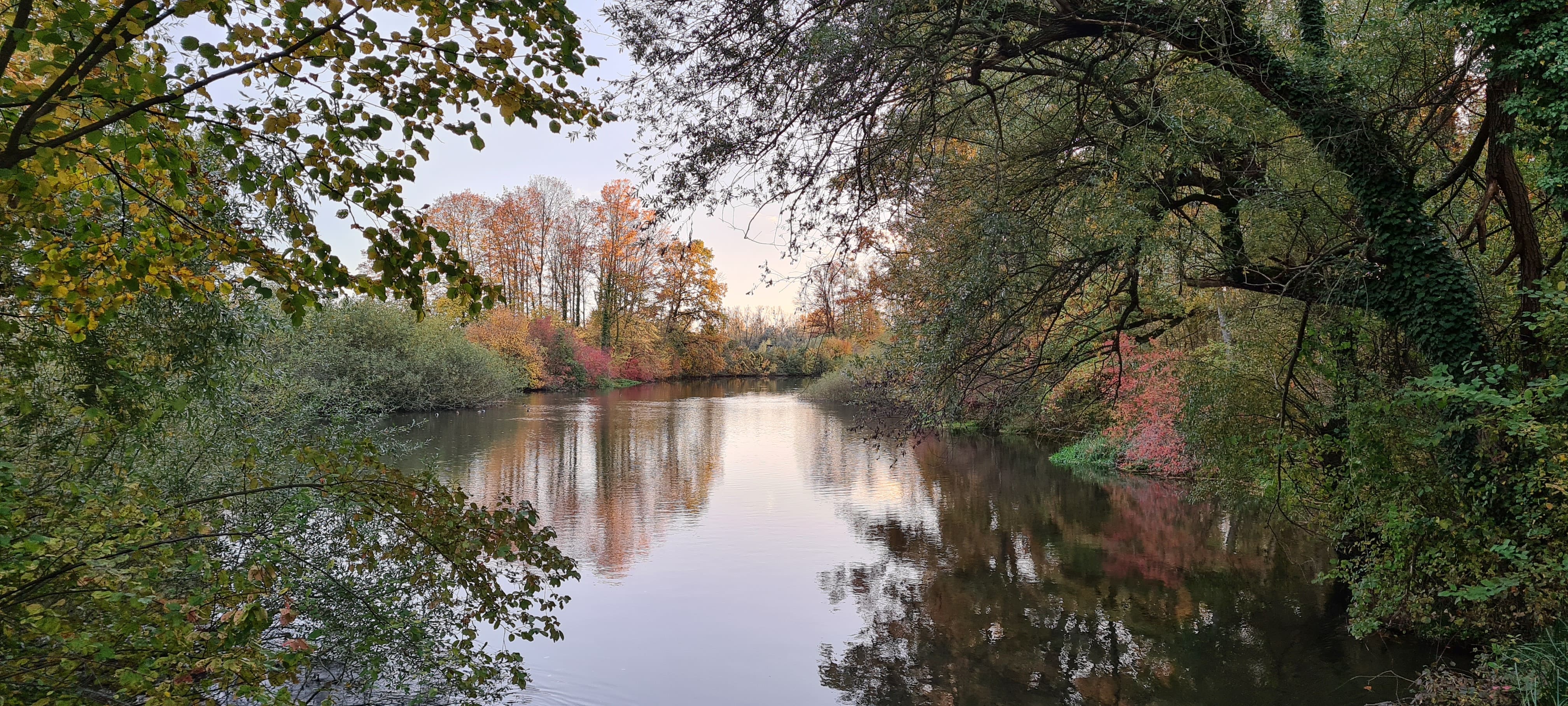 Abendstimmung am Vereinsgewässer